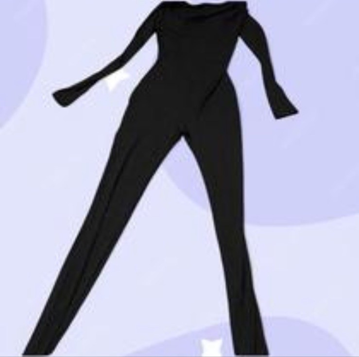 Women’s Black Solid Long Sleeve One-Piece Catsuit Regular Size Type