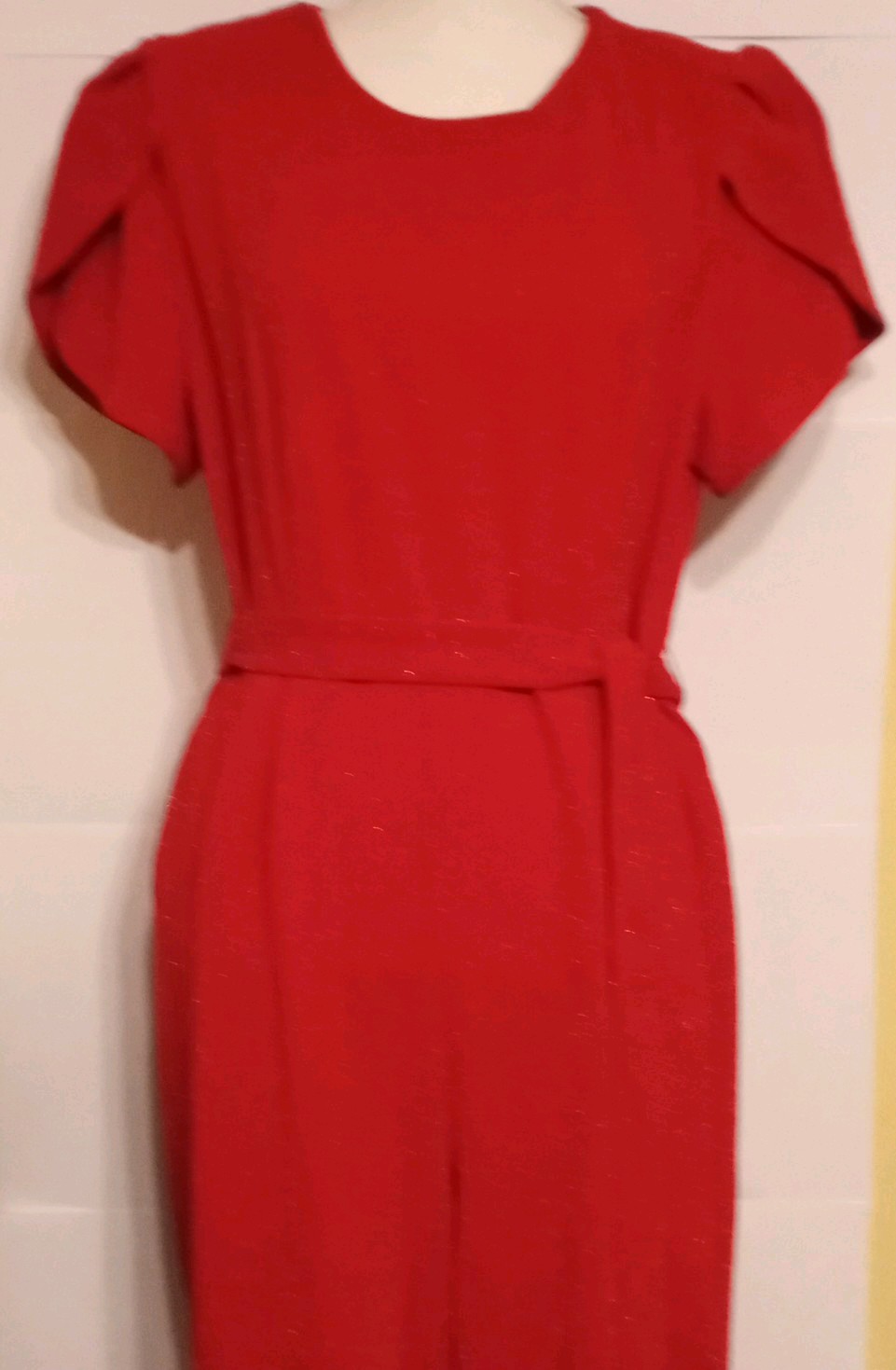 Women’s Red L Short Sleeve Belted Jumpsuit, Round Neck Straight Leg Back Zip